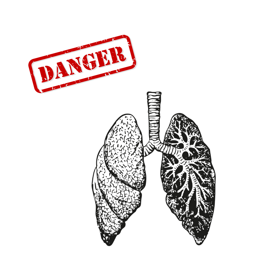 Diseno sin titulo 13